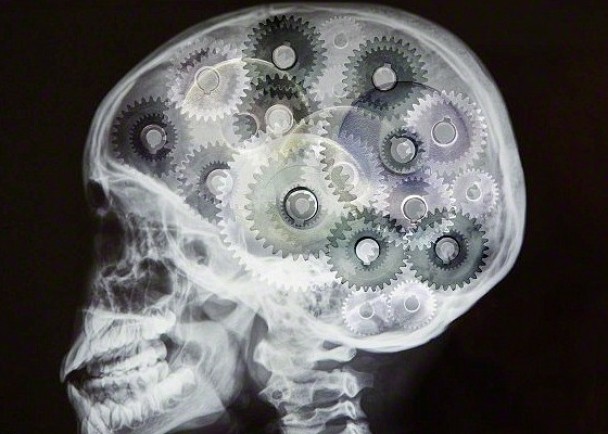 Ӣ����ѧ�о����ִ�����������ϳ���