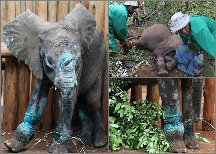 ��Īͼ�������ձ��жϣ����ϣ������𽥿�������ͼ����