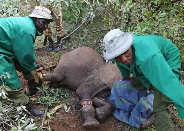 С�󱻵����ߵĲ�������ס��ǰ��