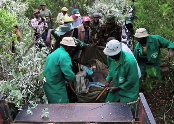 ��Ԯ��Ա��С����������