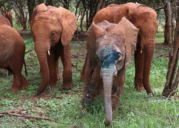 ��Īͼ�ǣ�ǰ���������ã�����ҹ�԰�ڵ���Ⱥһͬ���