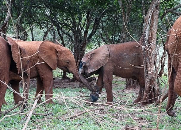 ��Īͼ�ǣ��ң�������С����Ϸ����ʰ������