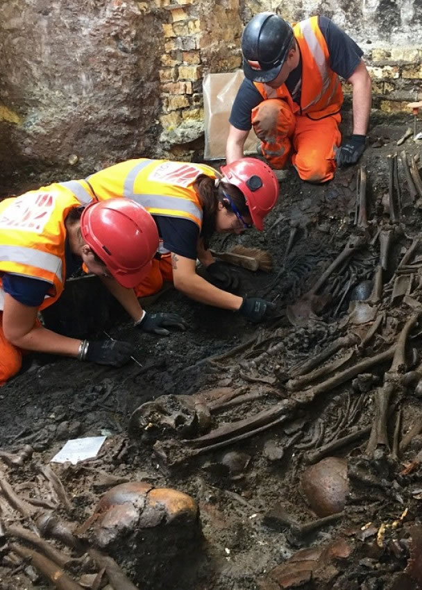 ����ѧ���ƶϺ���������1665������ߵ�����