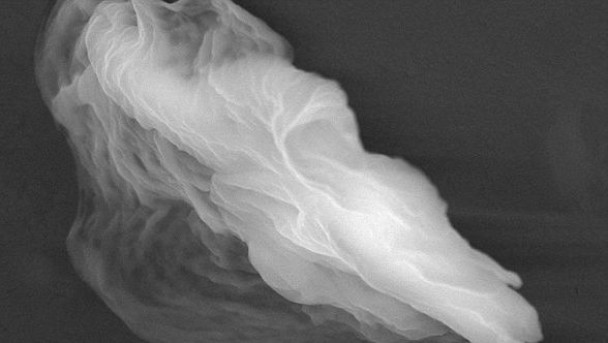 威克拉马辛格在从地球大气层取得的样本中发现多种不明粒子,例如图中的“鬼粒子”,指这是流星给地球带来含有生物材料尘埃的证据。