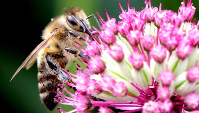 ���۶�������� �������Ӫ�������������������ķ��ս���������