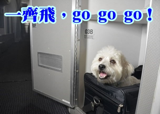 �����ɷ��������䣬�ٰ�ȫ�ش��ڳ���ר���ϡ�