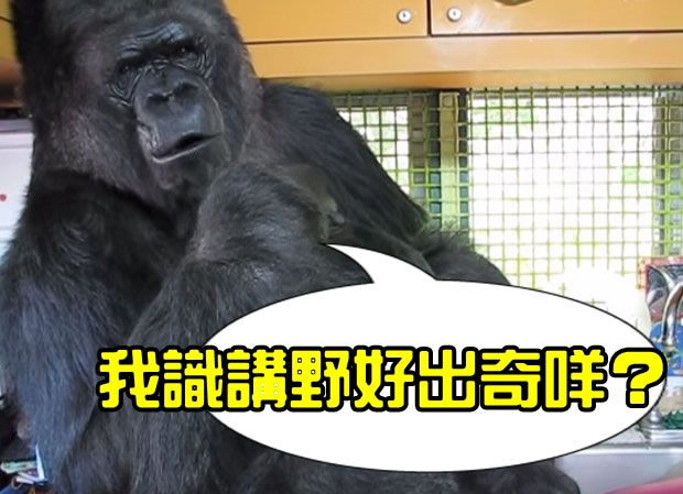 �ƿƶ������ú�ͷ����9��Ԫ������ɿ����Լ��ĺ�����