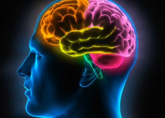 �о�ָ��̫��AV�����˴���ή��