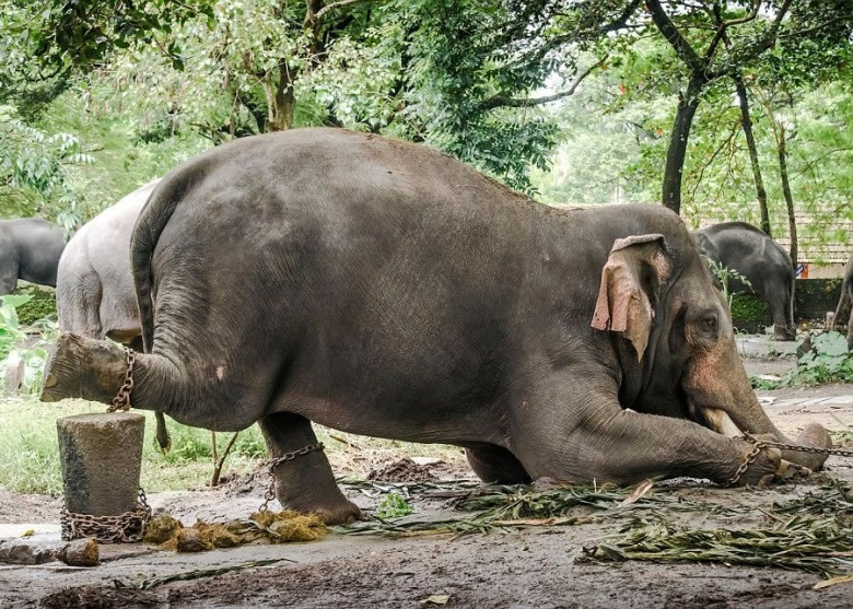 ���������������ԣ��������á�