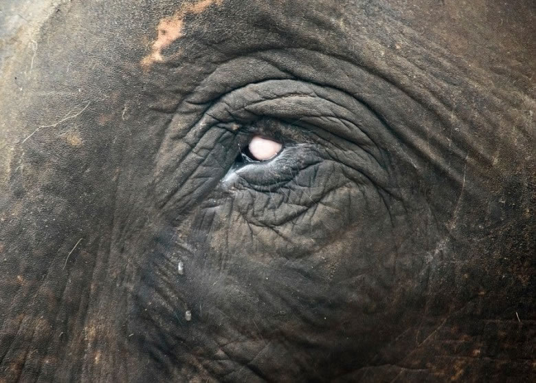 �б�Ű�����۾���Ϲ������������