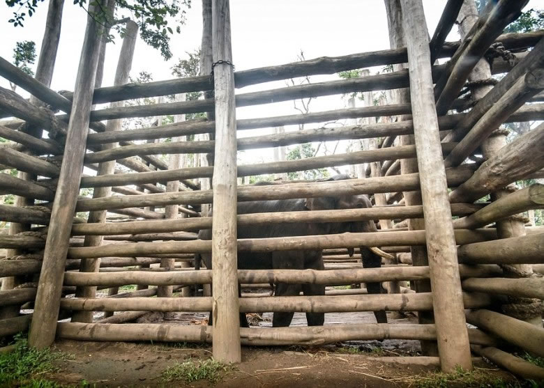 ����������������ľ����