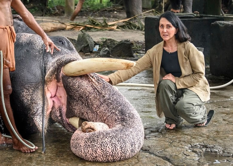 ��˹Ҫ�������ر�Ӫ�أ��ͷŴ���