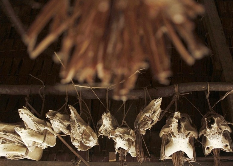 �������Զ����ͷ������