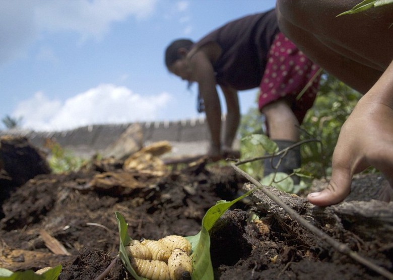 ��ŮѰ�Ҹ���ʴ��ë��ʳ��