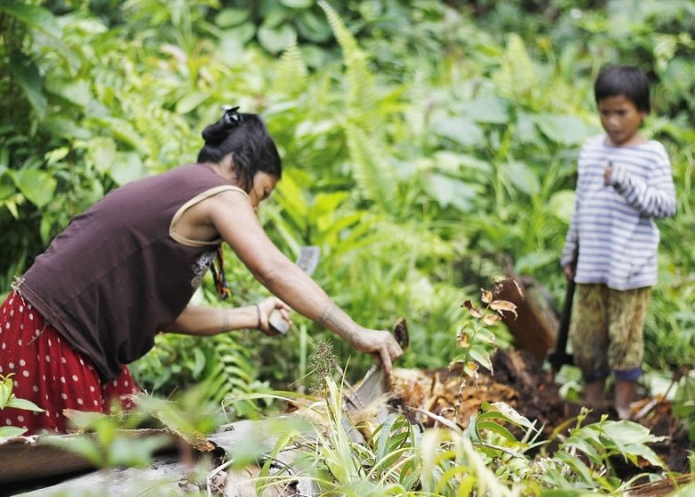 ���Ӱ���ĸ��Ѱ��ë��