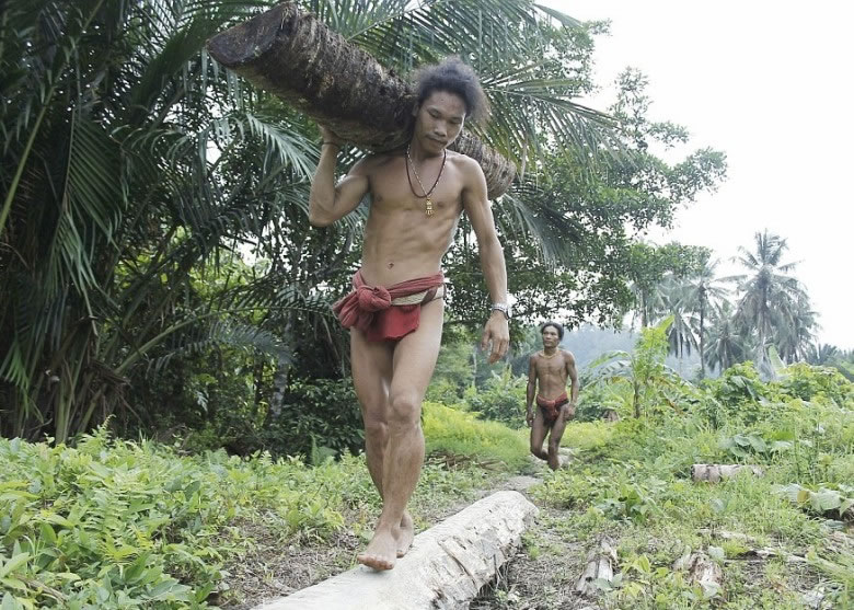 ��ʿ����ľ��