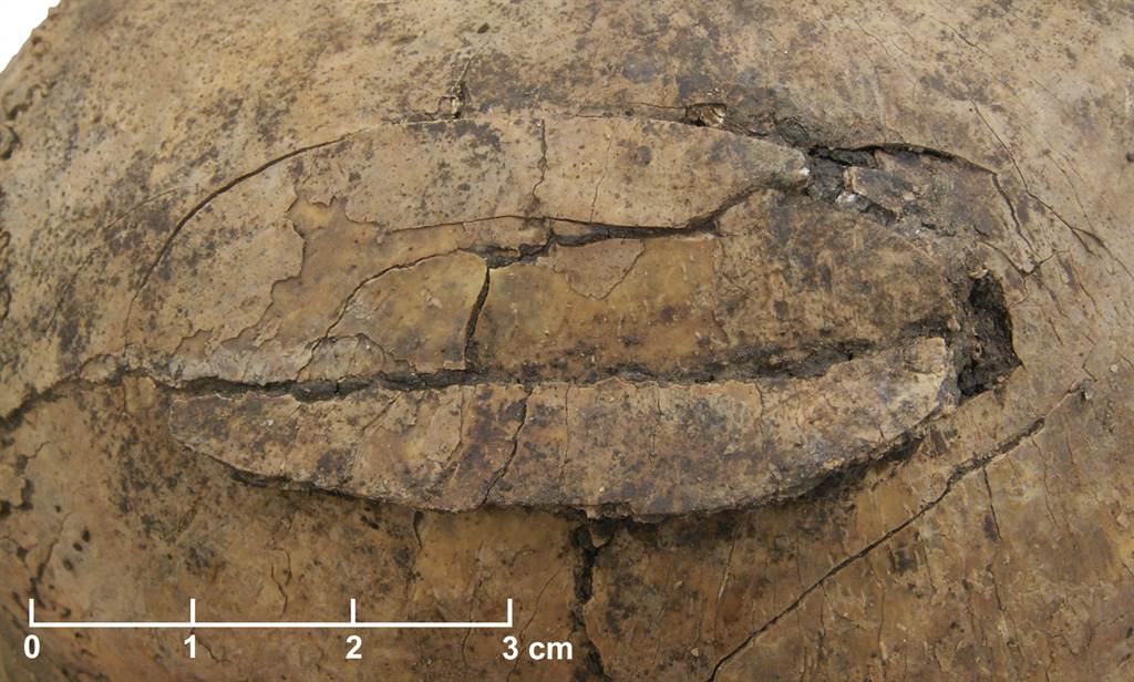 中欧发现新石器时代早期人类群体大屠杀的证据