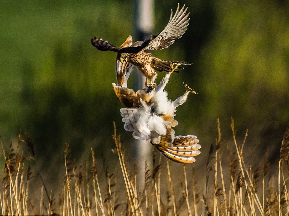 �޴�ĳ����ʹ�ú��޽䱸�Ĳ��^�ڿ��д��˸�ת����