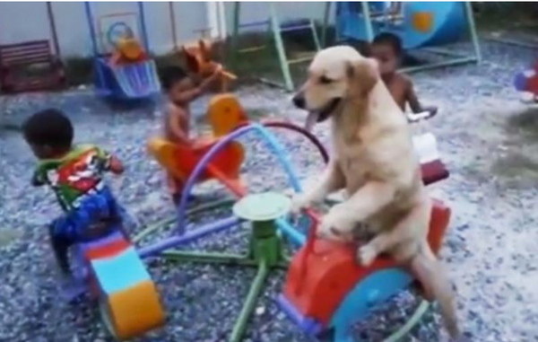 ��������Ȯ��С����һ������תľ��