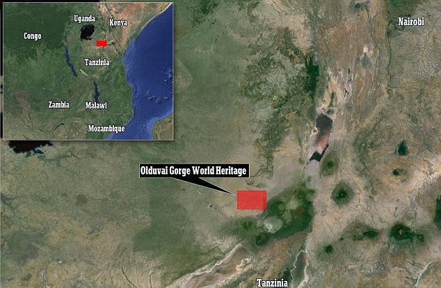 ���ֻ�ʯ��¼������ľ����ִ����������ֹ�