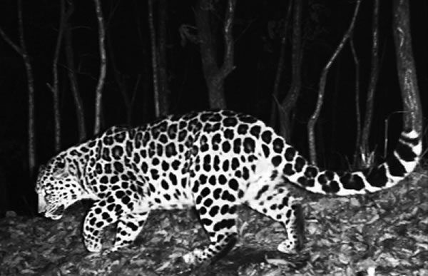 201010㵽йʷϵһŶƬ ʦѧԴŶӹͼ