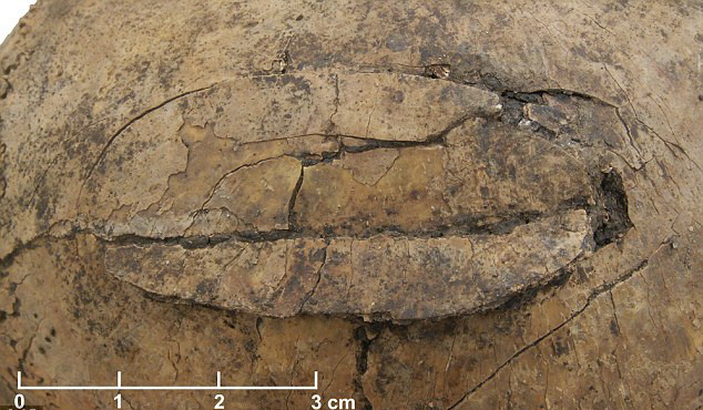 ��ѧ���ڵ¹������˸���������7000��ǰ����ĹѨ����Ϊŷ��ʯ��ʱ�������Ĵ���ɱ�����֤�ݡ�