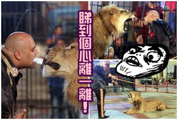 艾何维(左图左)用口咬着刀,将食物送上予狮子进食。