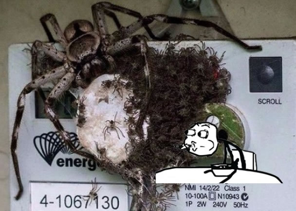 ڳд֩⣬нֻС֩룬Լ֩