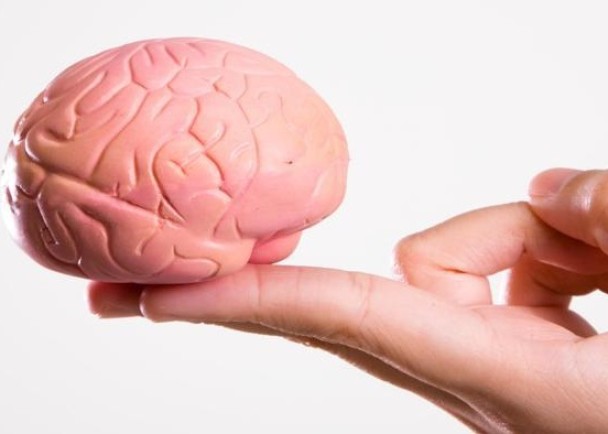 专家以干细胞培植出“实验室人脑”。