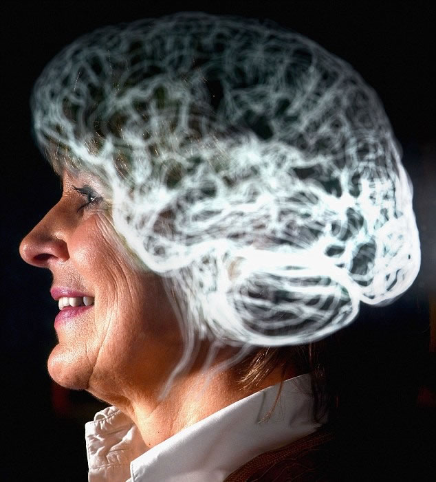 拆解人类脑部复杂的结构,一直是科学家研究的目标。