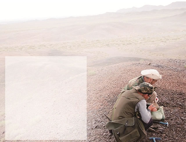 人һȺʯˡԶ½ڵȵزɼʯ걾