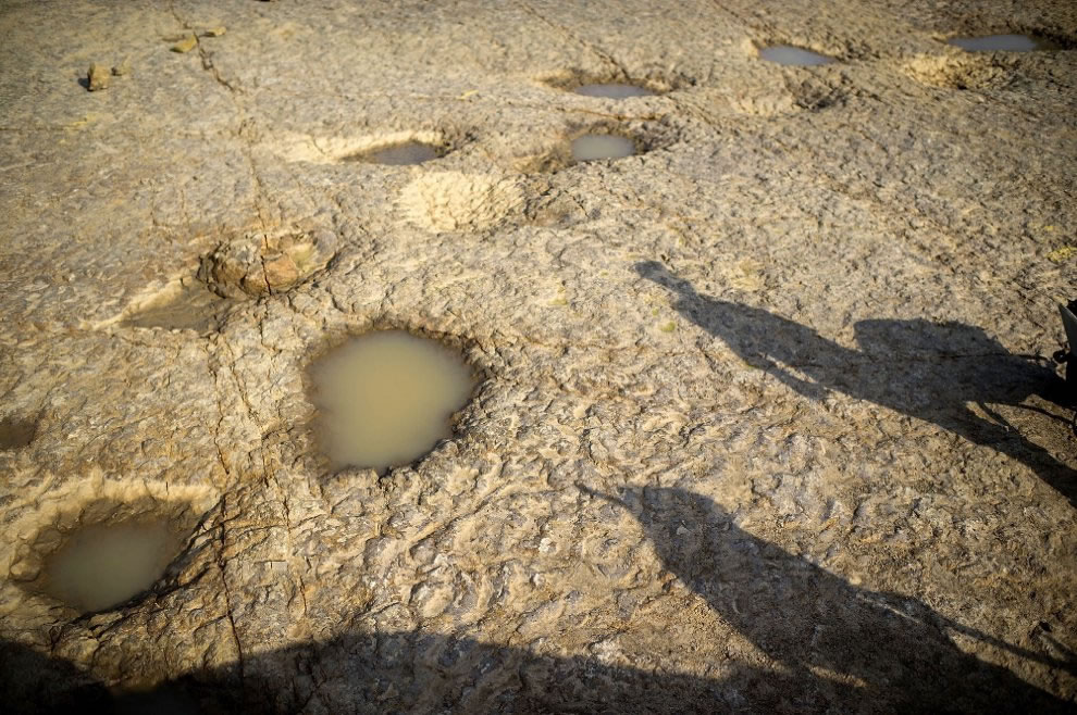 ¹Muenchehagenѧҷ90ö㼣ʯ