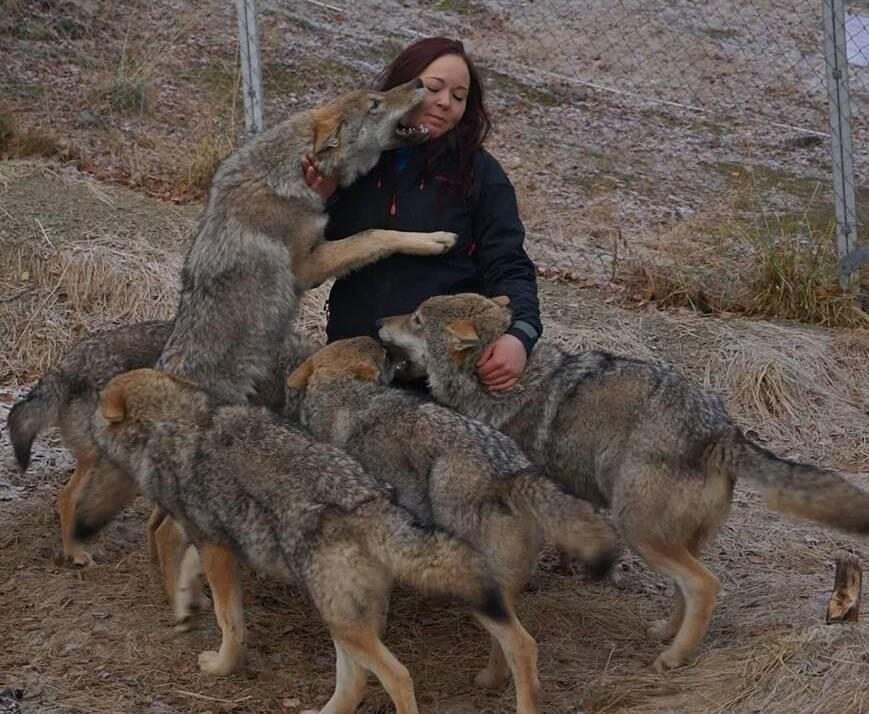 Ų������ķ˹�����ع�԰�ṩ�ο����������Ӵ�����