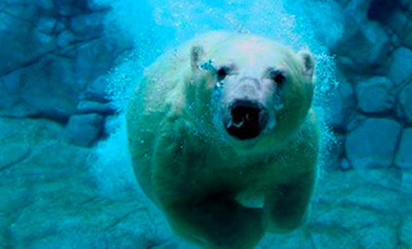 �����ܱ���ʱ�����ӣ���ӳ��ʳ���ȱ�����濼�鼰�����ƻ����⡣