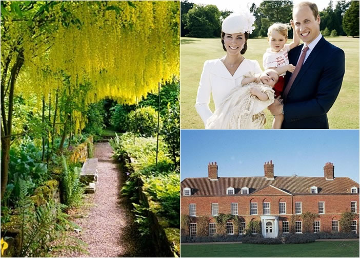 威廉一家(右上图)所住的安墨堡(右下图),被发现种植了毒性强烈的金链花树(左图)。