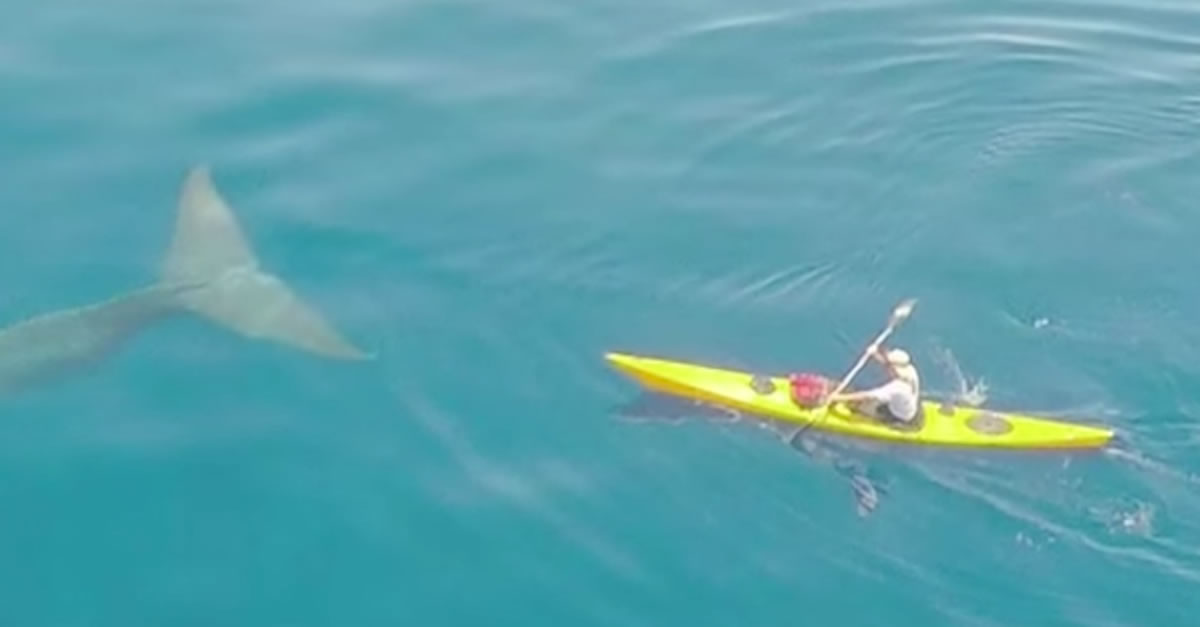 ˹������ӡ����Patrick���������ڿ���������