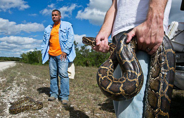 ������������ݴ����������������ս��� �ڶ������ߴ��Ѳ�����2016��ٰ�