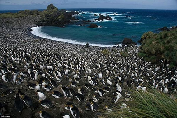 400�����������ռ����������ﵺ