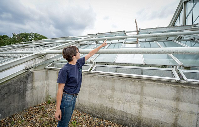 英国皇家植物园龙舌兰的花穗一夜间长高46厘米