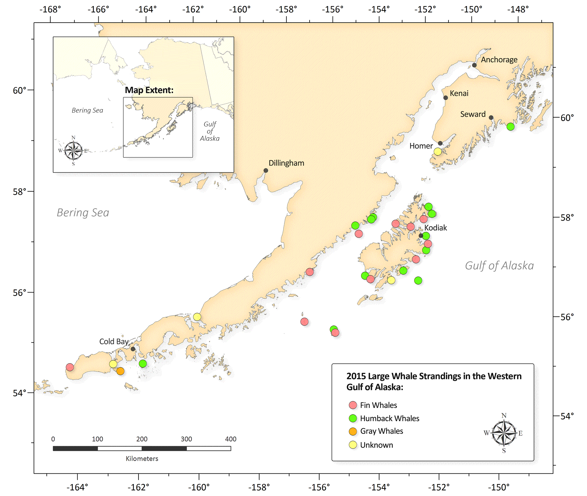 美国阿拉斯加湾西部科迪亚克岛发现大批鲸鱼离奇暴毙 成群棕熊啃食尸体