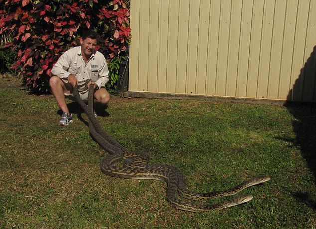 �Ĵ�����2������4.5�׵�ĸ������Ϊ���������������