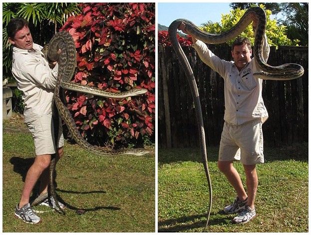 �Ĵ�����2������4.5�׵�ĸ������Ϊ���������������