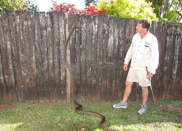 �Ĵ�����2������4.5�׵�ĸ������Ϊ���������������