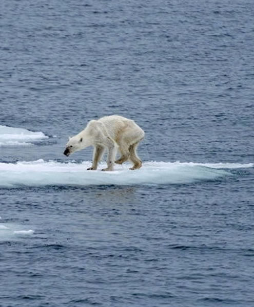 �����ܹ������վ�ڸ�����