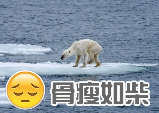 ��ֻ�����ܲ����������ݣ����������㲣����Ƕ���δ����ʳ��