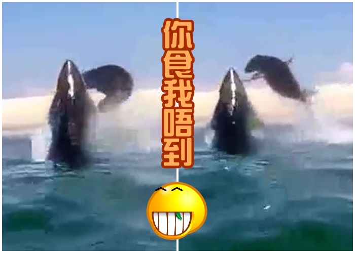 �Һ���β����һͬ����Ĵ�����Ĵ��ȥ