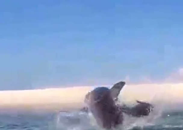 �Һ����ܿ�������