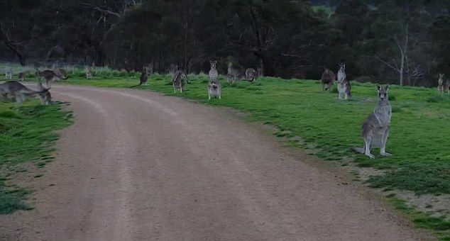 �Ĵ����������ﳵ������԰ʱ�����ڶ������ע�� �������ؿ���