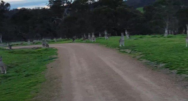 �Ĵ����������ﳵ������԰ʱ�����ڶ������ע�� �������ؿ���