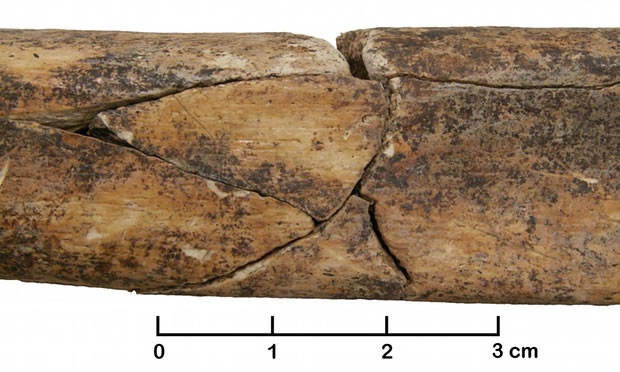 骸骨或能证明新石器时代初期,曾出现血腥屠杀。